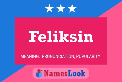 Póster del nombre Feliksin