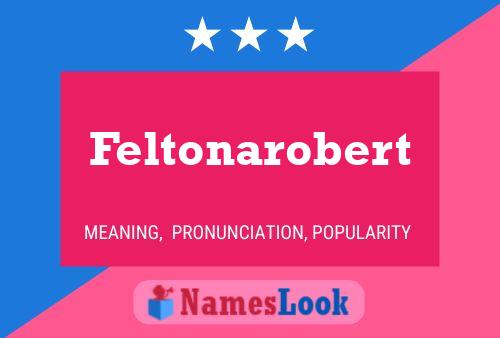 Póster del nombre Feltonarobert