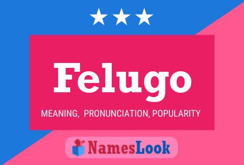 Póster del nombre Felugo