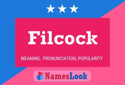 Póster del nombre Filcock