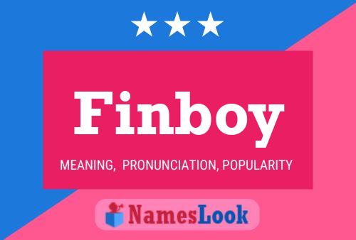 Póster del nombre Finboy