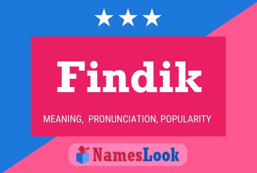 Póster del nombre Findik