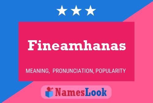 Póster del nombre Fineamhanas