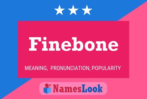 Póster del nombre Finebone