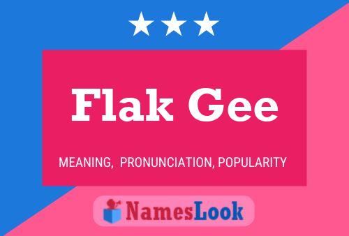 Póster del nombre Flak Gee