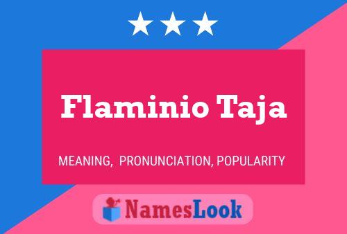 Póster del nombre Flaminio Taja