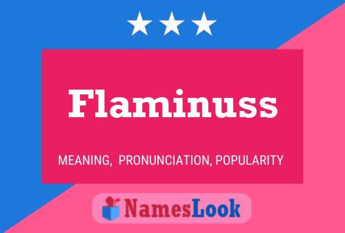 Póster del nombre Flaminuss