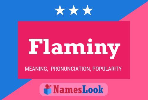 Póster del nombre Flaminy