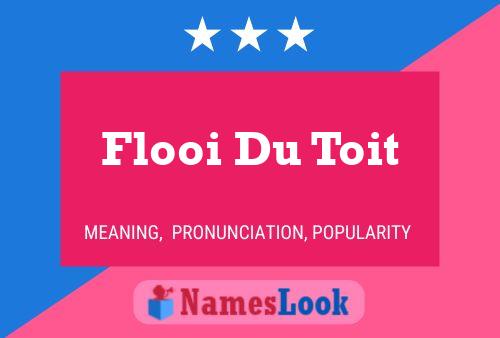 Póster del nombre Flooi Du Toit