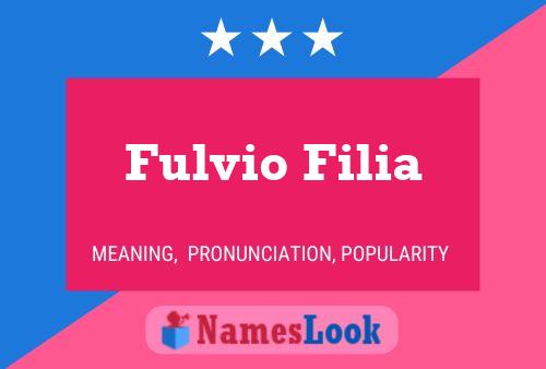 Póster del nombre Fulvio Filia