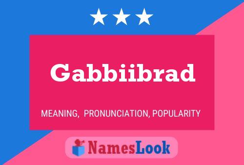 Póster del nombre Gabbiibrad