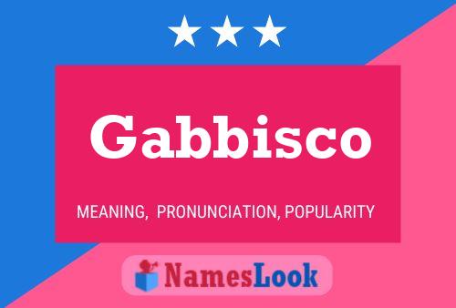 Póster del nombre Gabbisco