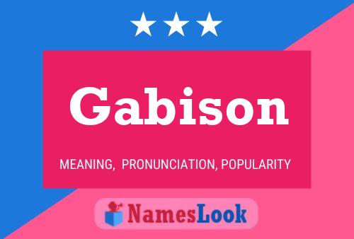 Póster del nombre Gabison