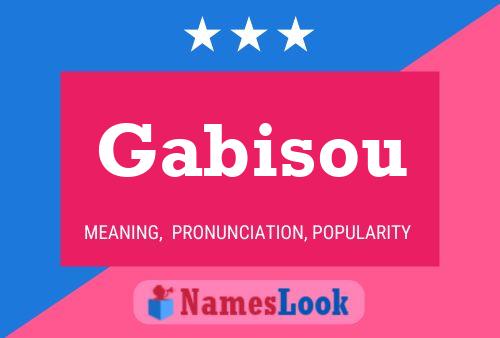 Póster del nombre Gabisou