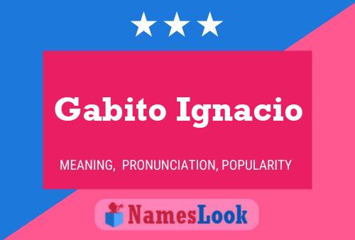 Póster del nombre Gabito Ignacio