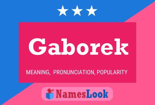 Póster del nombre Gaborek