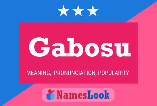 Póster del nombre Gabosu