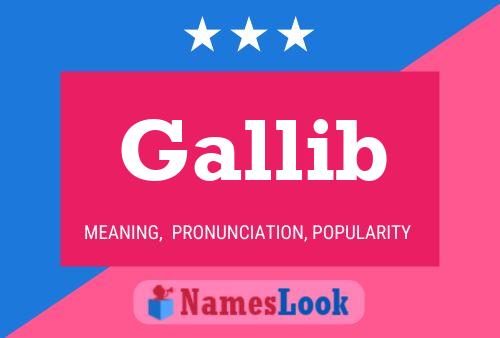 Póster del nombre Gallib