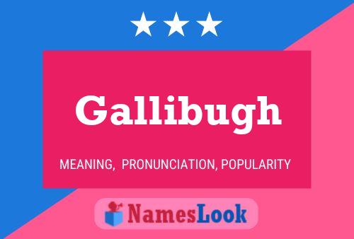 Póster del nombre Gallibugh