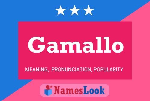 Póster del nombre Gamallo