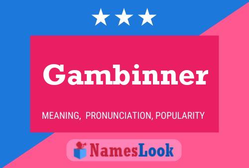 Póster del nombre Gambinner