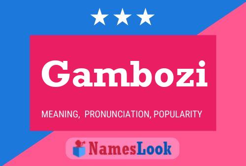 Póster del nombre Gambozi