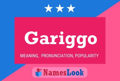 Póster del nombre Gariggo