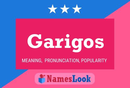 Póster del nombre Garigos