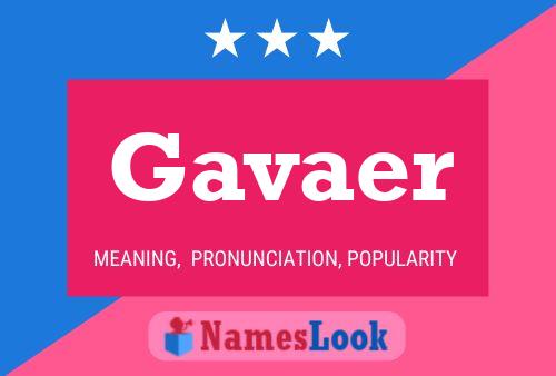 Póster del nombre Gavaer