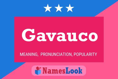 Póster del nombre Gavauco