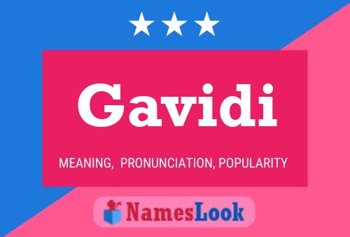 Póster del nombre Gavidi