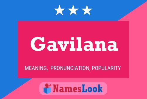 Póster del nombre Gavilana