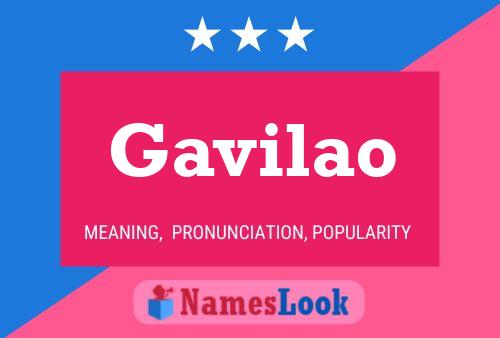 Póster del nombre Gavilao