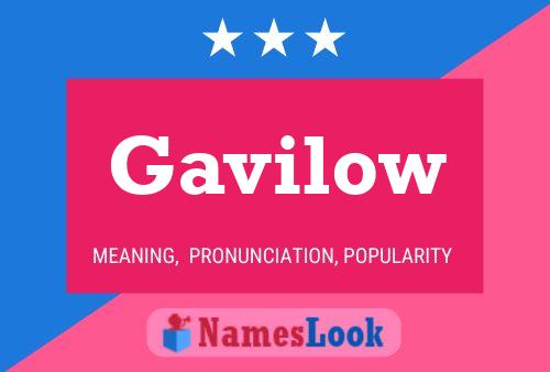 Póster del nombre Gavilow