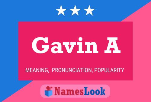 Póster del nombre Gavin A