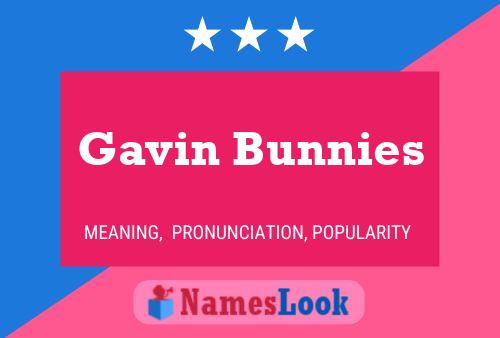 Póster del nombre Gavin Bunnies