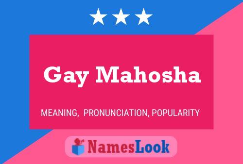 Póster del nombre Gay Mahosha