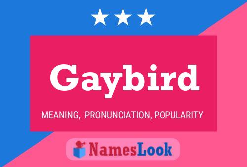 Póster del nombre Gaybird