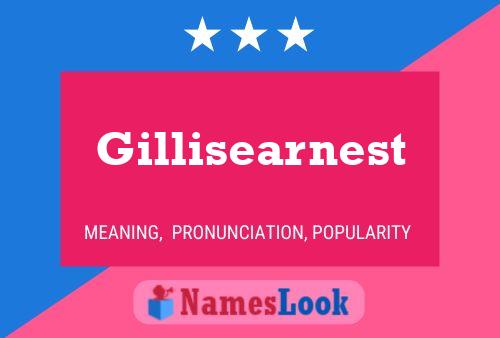 Póster del nombre Gillisearnest