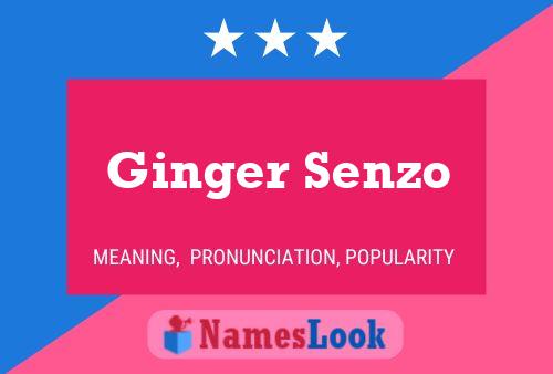 Póster del nombre Ginger Senzo