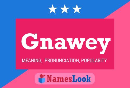 Póster del nombre Gnawey