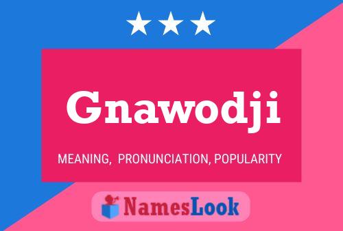 Póster del nombre Gnawodji