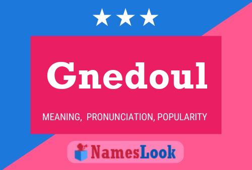 Póster del nombre Gnedoul