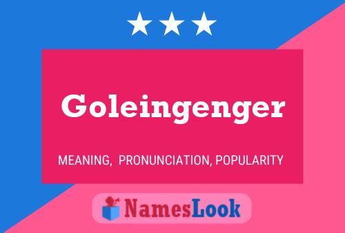 Póster del nombre Goleingenger