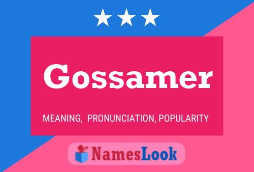 Póster del nombre Gossamer