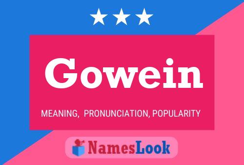 Póster del nombre Gowein