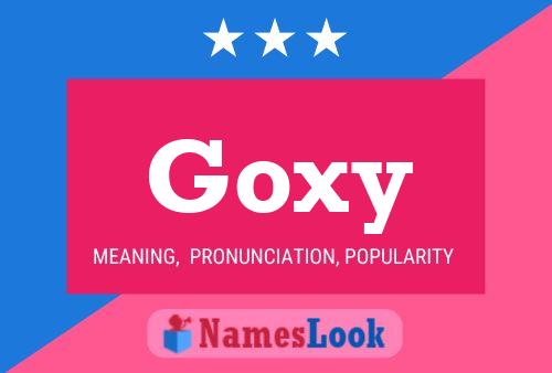 Póster del nombre Goxy