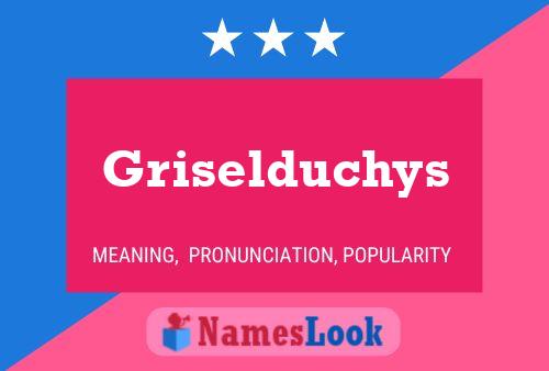 Póster del nombre Griselduchys