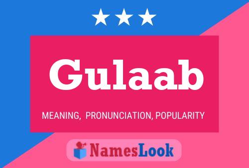 Póster del nombre Gulaab