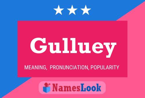 Póster del nombre Gulluey